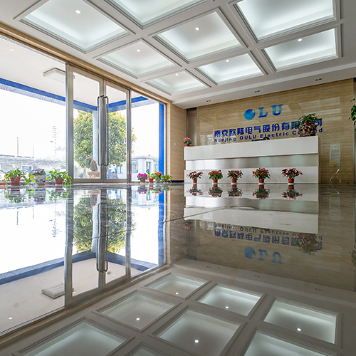 小型風(fēng)力發(fā)電機(jī)哪家買用得久？實(shí)力廠家南京歐陸電氣有話說